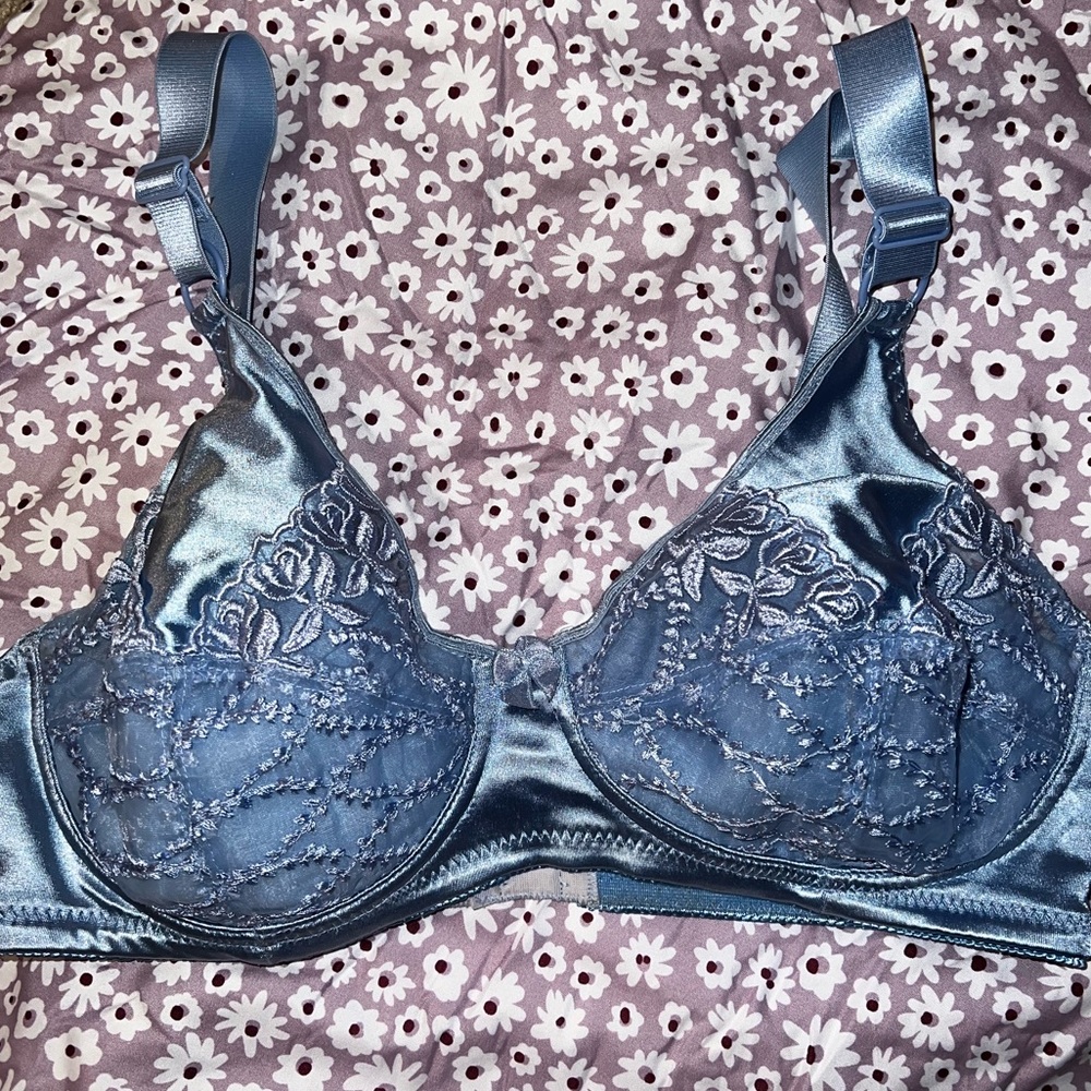 Vintage periwinkle bra